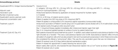Case Report: Intra-Tumoral Vaccinations of Quadrivalent HPV-L1 Peptide Vaccine With Topical TLR-7 Agonist Following Recurrence: Complete Resolution of HPV-HR-Associated Gynecologic Squamous Cell Carcinomas in Two Patients